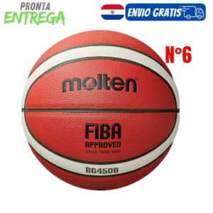 Pelota Molten BG4500 N°6